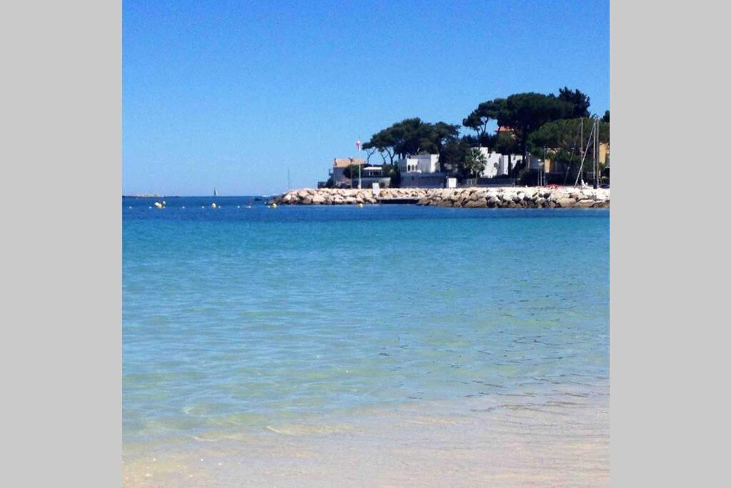 Studio Meuble Proche Plages Et Vieille Ville Antibes Dış mekan fotoğraf